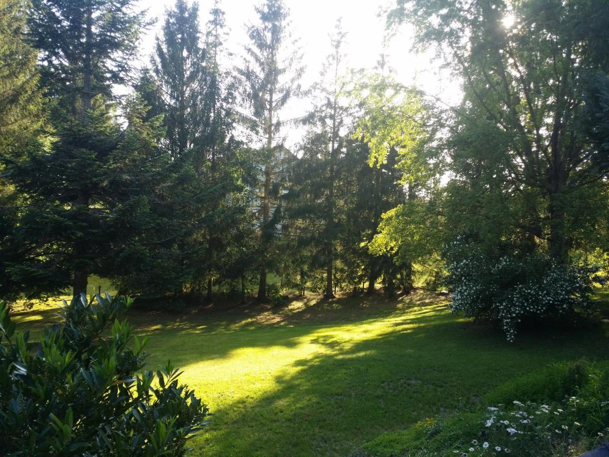 Schwarzwald - Villa Appartments Titisee Eksteriør bilde