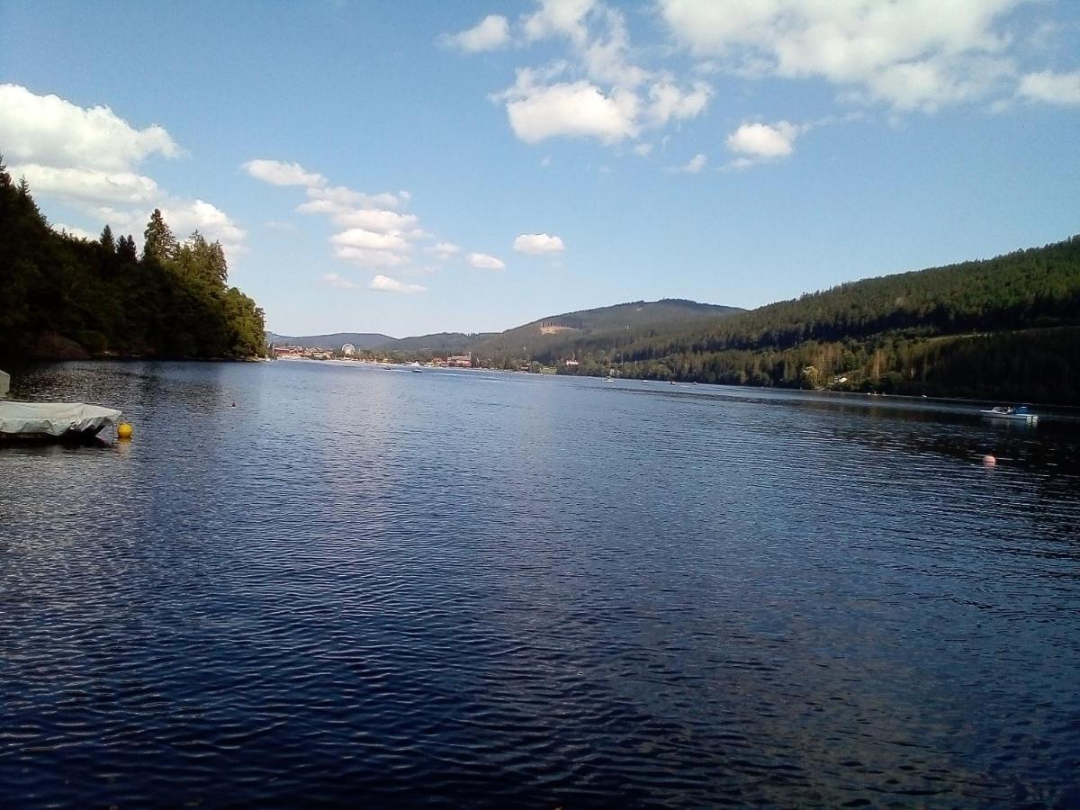 Schwarzwald - Villa Appartments Titisee Eksteriør bilde