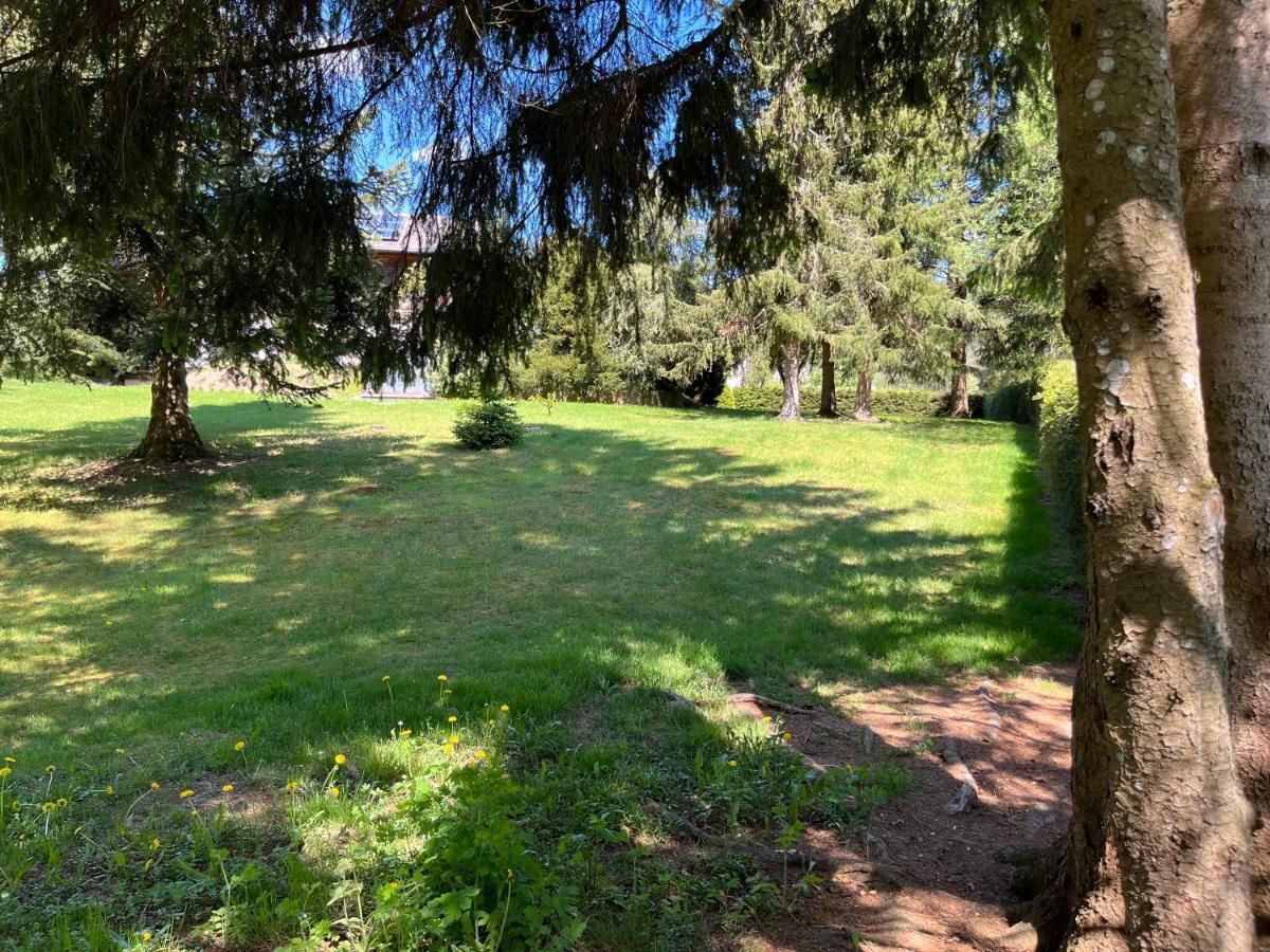 Schwarzwald - Villa Appartments Titisee Eksteriør bilde