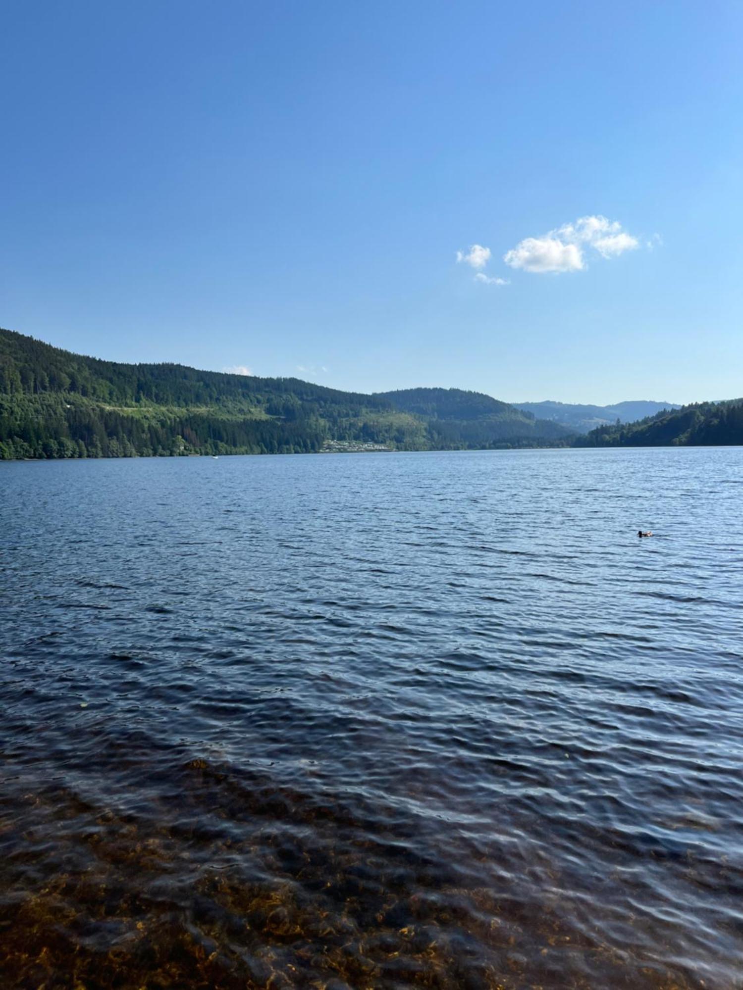 Schwarzwald - Villa Appartments Titisee Eksteriør bilde