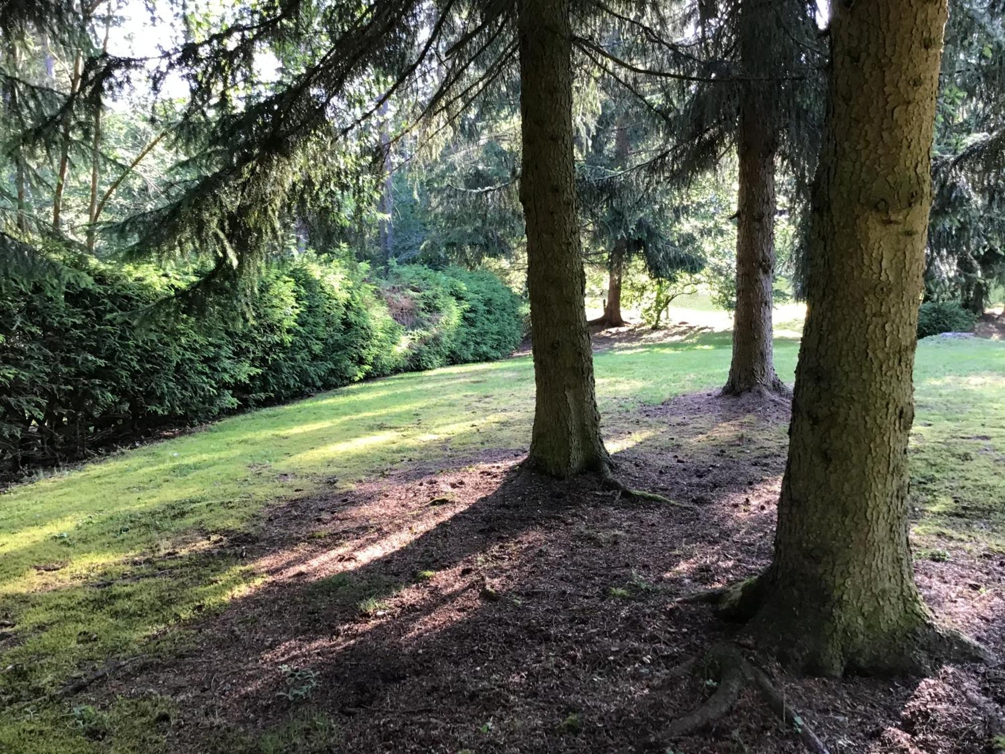 Schwarzwald - Villa Appartments Titisee Eksteriør bilde