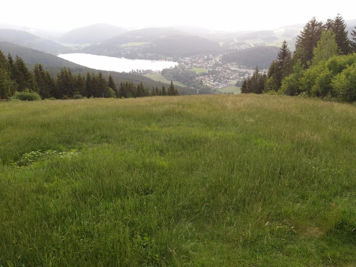 Schwarzwald - Villa Appartments Titisee Eksteriør bilde