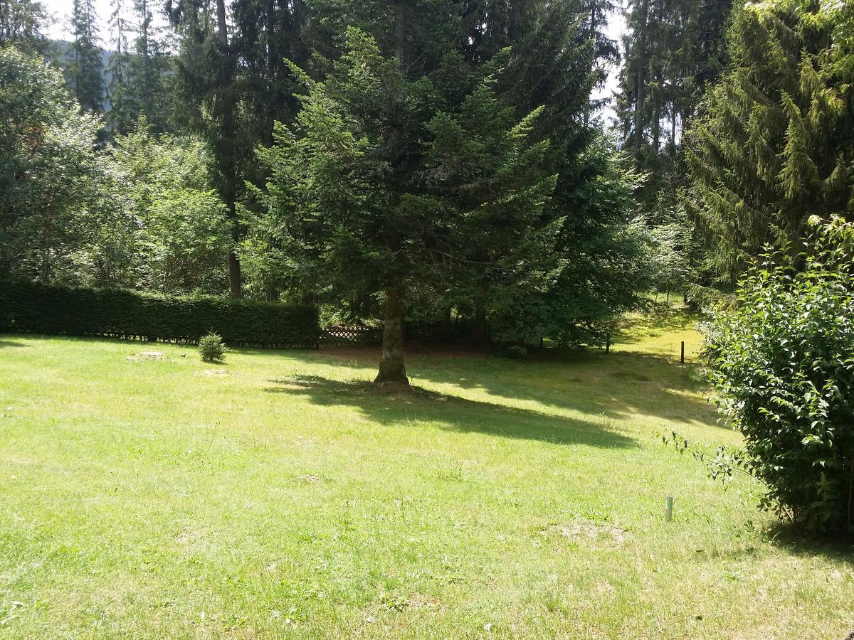 Schwarzwald - Villa Appartments Titisee Eksteriør bilde
