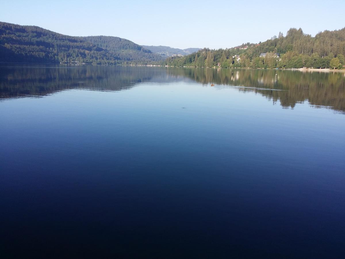 Schwarzwald - Villa Appartments Titisee Eksteriør bilde