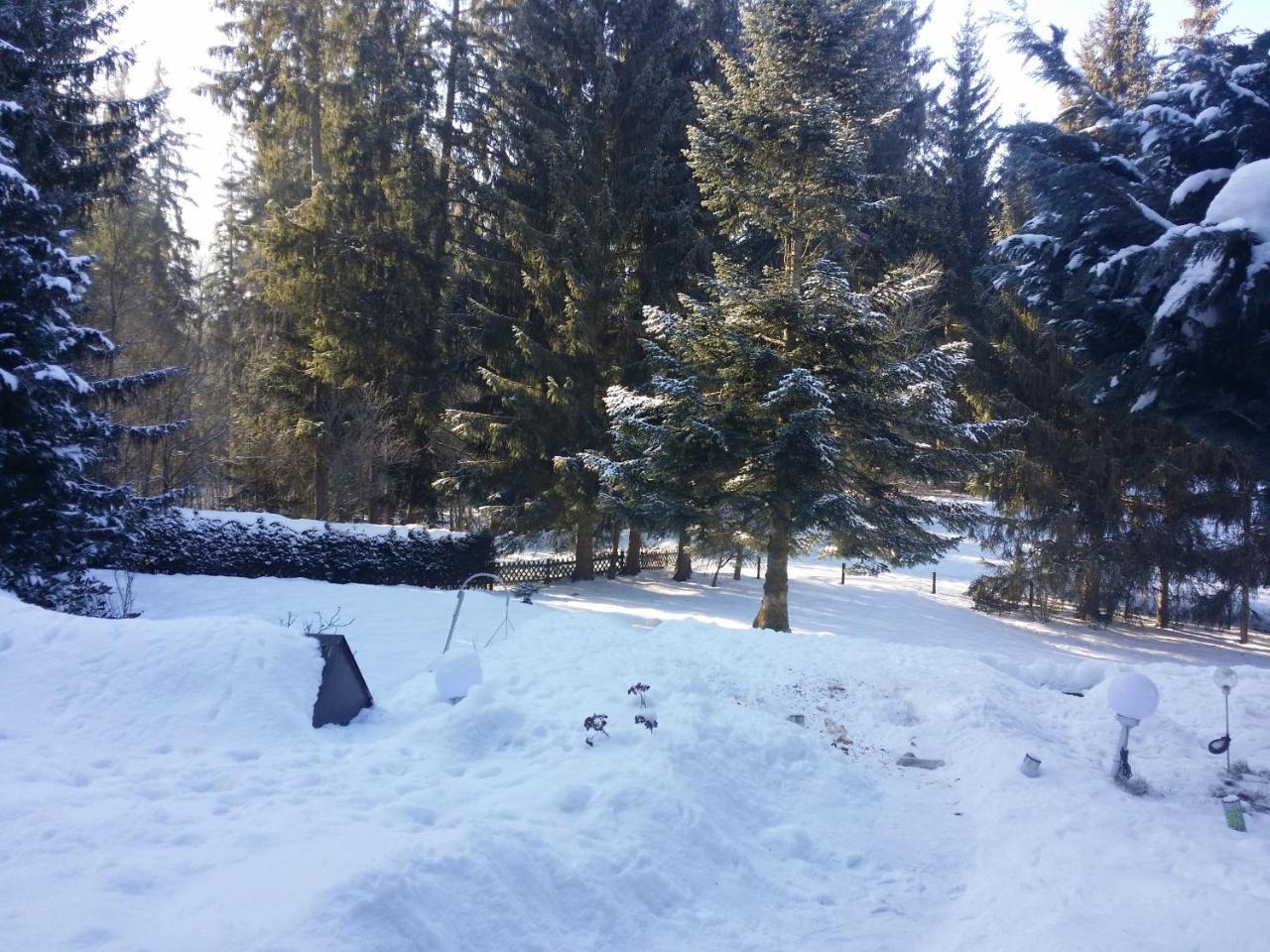 Schwarzwald - Villa Appartments Titisee Eksteriør bilde
